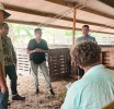 Tabatin interes den e curso di ‘Conoce bo Cabrito’