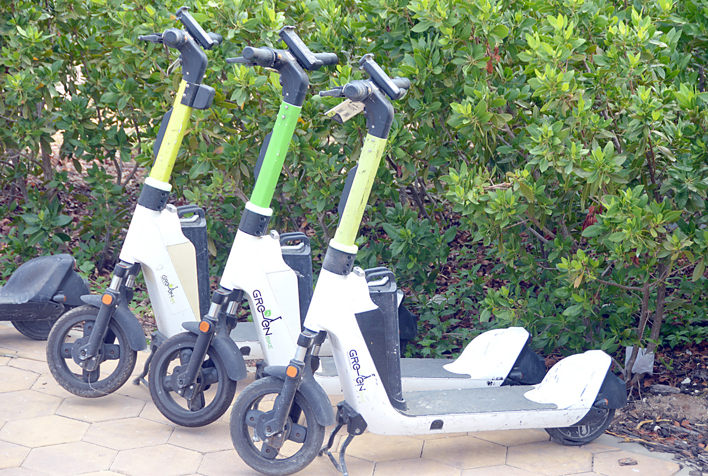 Compania Green Bike y E-Bikes a cuminsa otro caso contra Gobierno