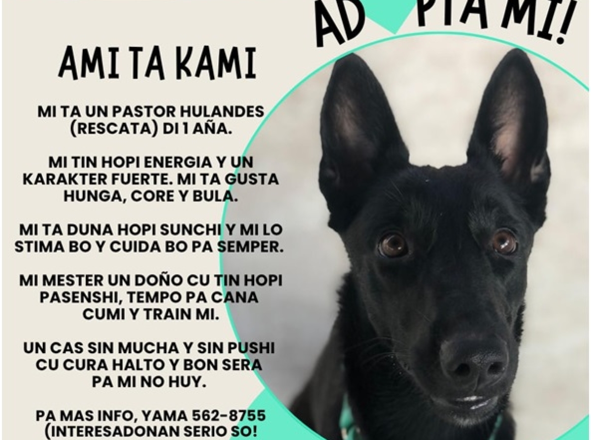 Ami ta Kami