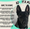 Ami ta Kami