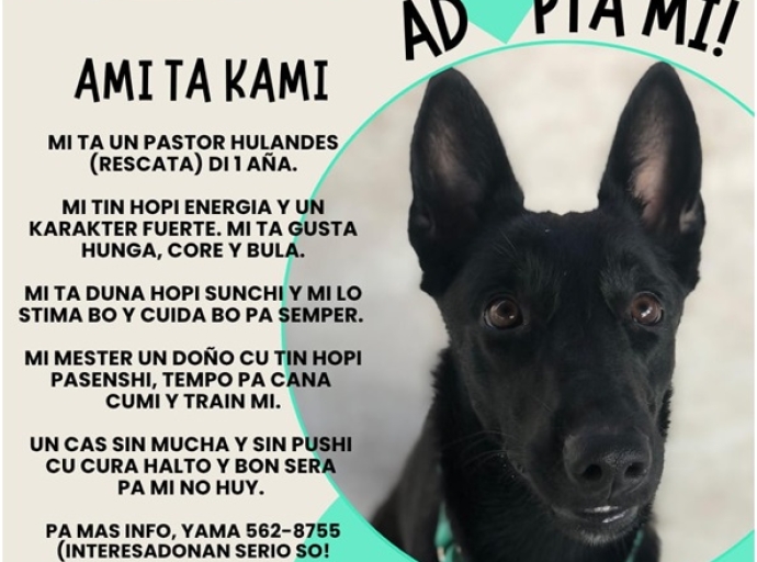 Ami ta Kami
