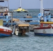 Durante DCALFA Conference a señala cu mester flexibilisa e leynan di pesca