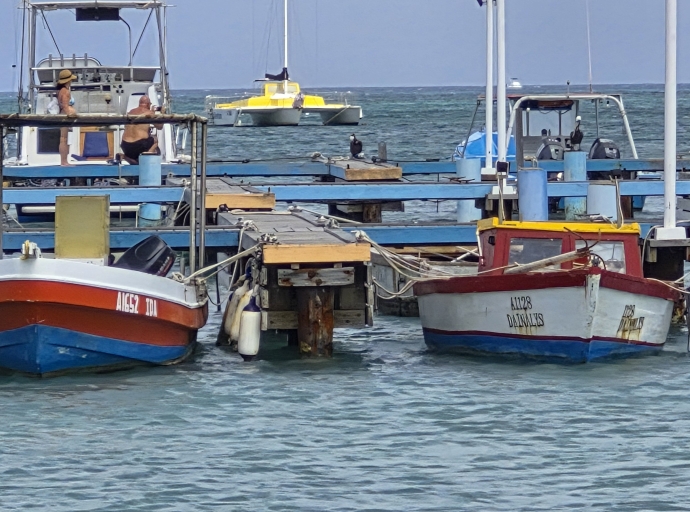 Durante DCALFA Conference a señala cu mester flexibilisa e leynan di pesca
