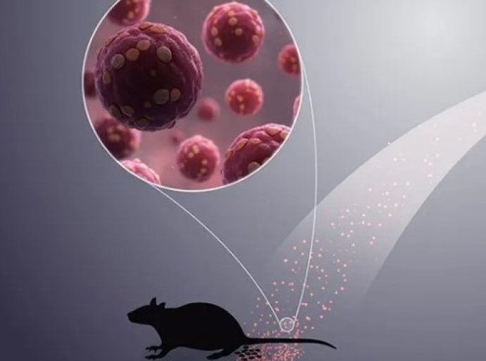 DVG ta monitor situacion di Hantavirus na Venezuela