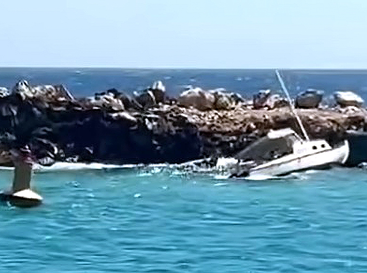 Piscado a bay dal den chapaleta y perde su bida na Fuik