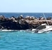 Piscado a bay dal den chapaleta y perde su bida na Fuik