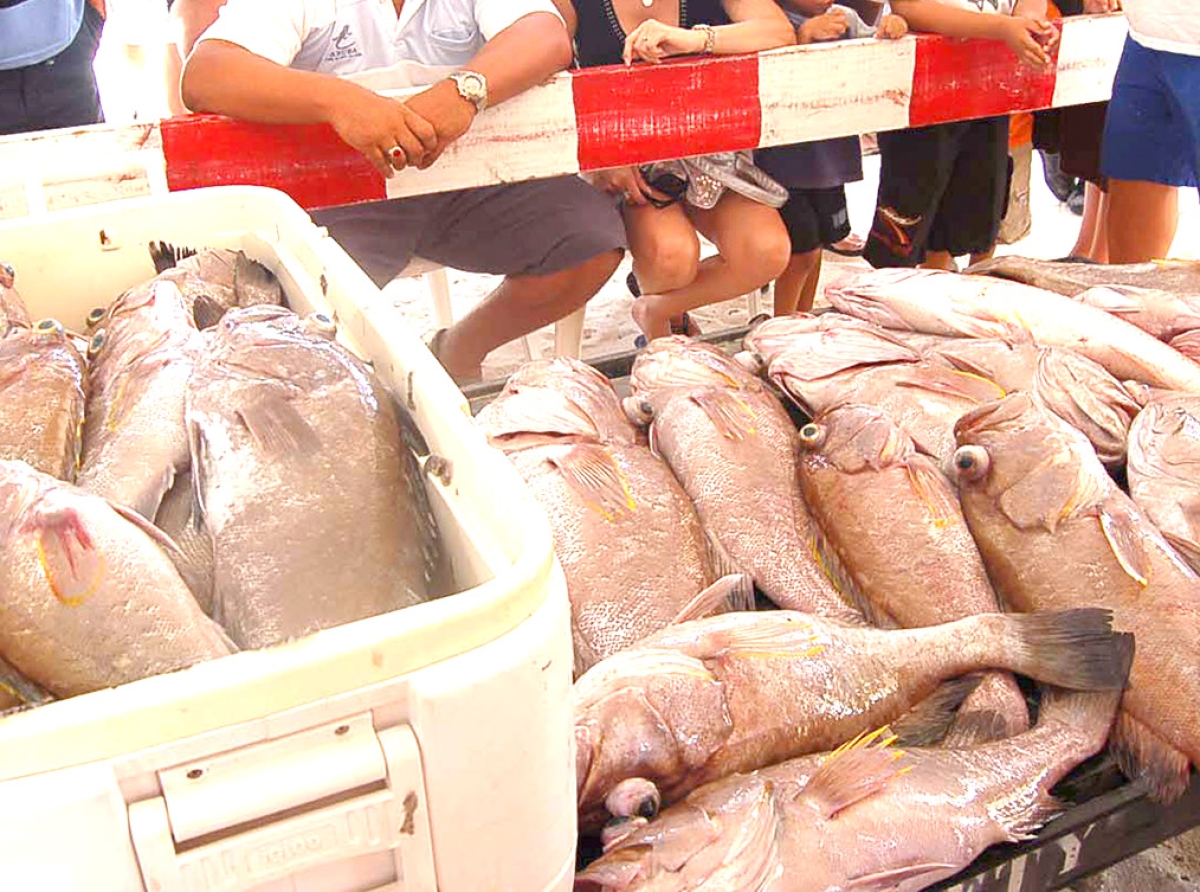 Awe ta e gran dia pa Torneo di Pesca na Hadicurari