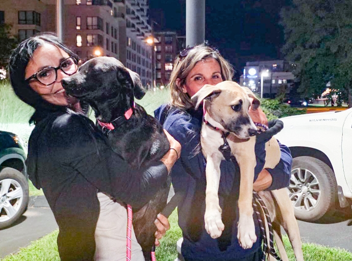 Dos cunucu dogs mas a wordo hiba Merca pa nan famia adoptivo