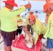 Fenomenal y exitoso tabata e Torneo di Pesca di Hadicurari
