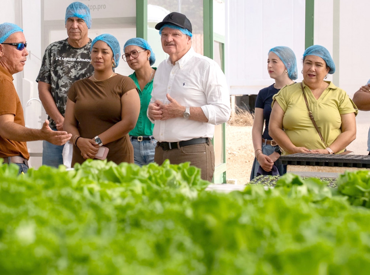 Innovacion den agricultura ta brinda oportunidad pa contribui na produccion local