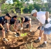 Den fin di siman boluntarionan a planta 50 mata nativo di 14 diferente especie