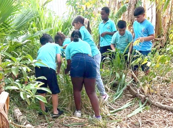Alumnonan di Colegio Conrado Coronel a bay snoei nan matanan