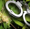Unit Narcotica a detene un sospechoso y confisca diferente tipo di droga